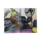 Quack Zine